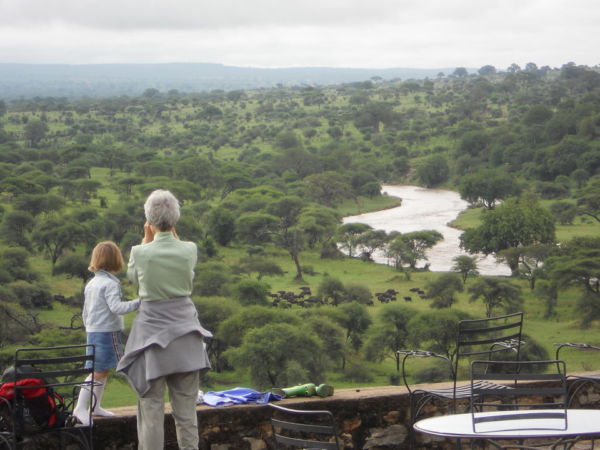 Looking out on a huge herd of buffalo in Tarangire National Park