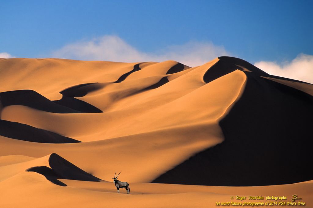 WILD NAMIB DESERT