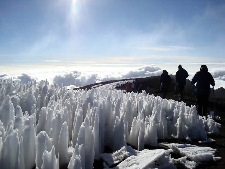 Kilimanjaro