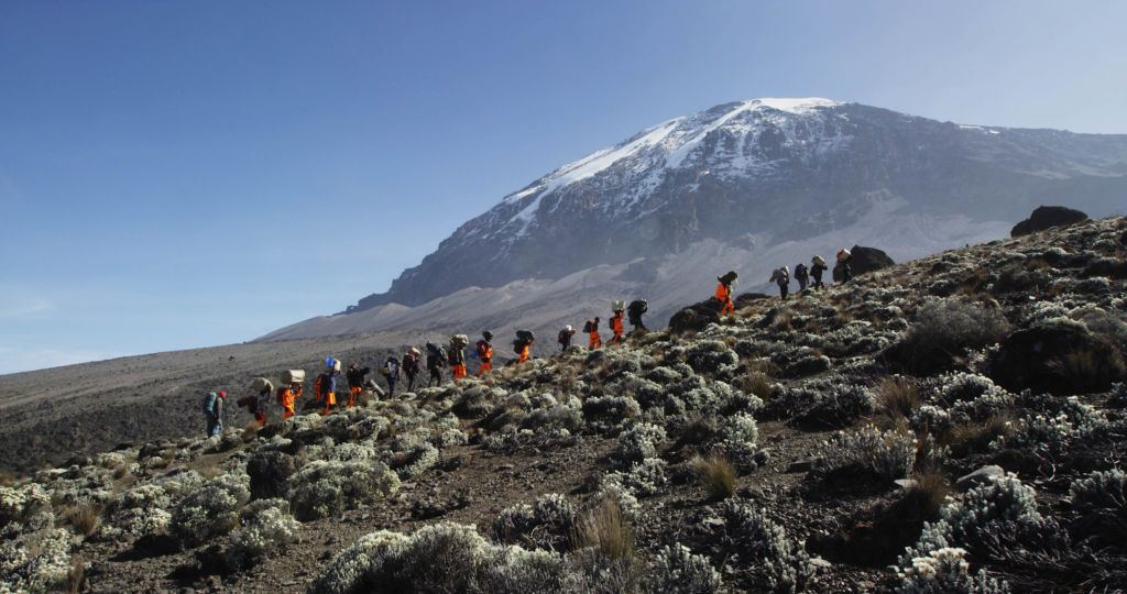 Porters Carry Luggage up Kilimanjaro