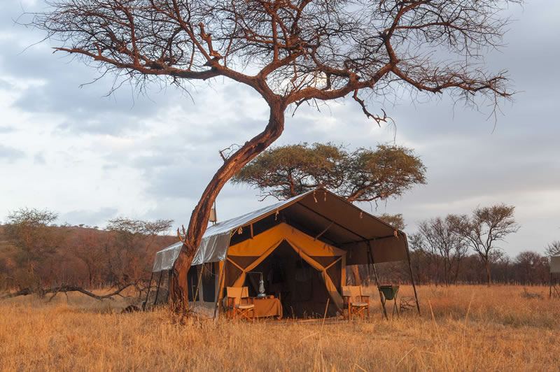 Serengeti simple bliss under canvas at Kati Kati camp