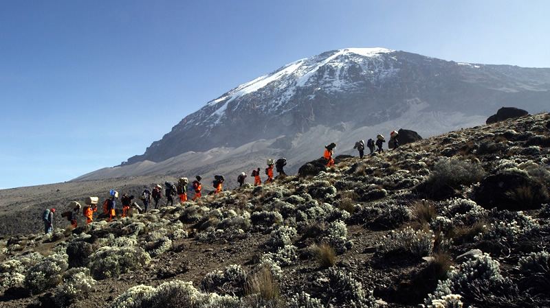 ND porters on ridge with Kibo 1