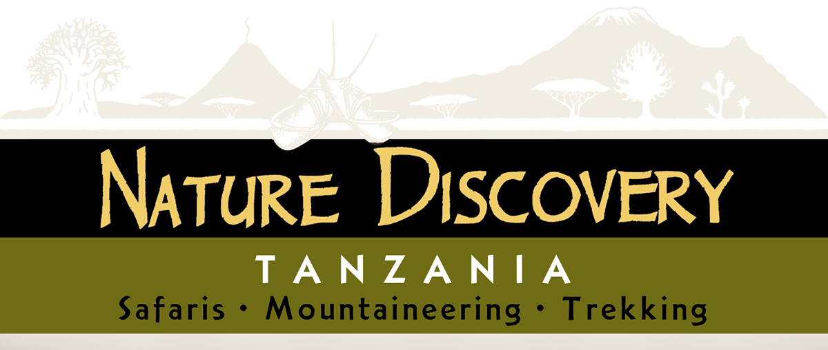 nature discovery safari