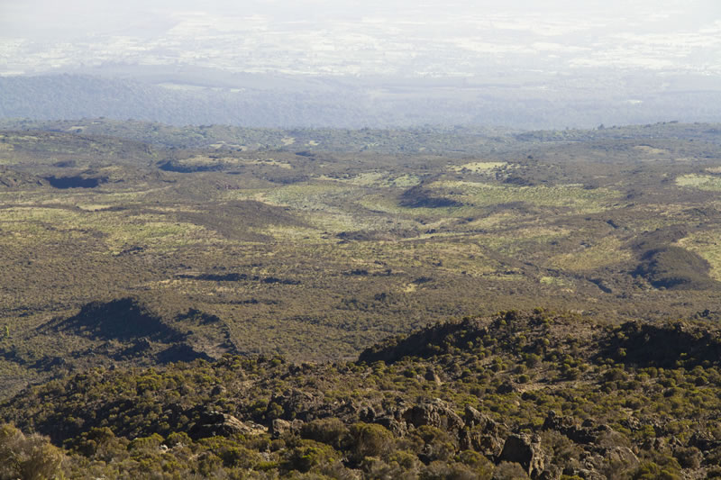 Amboseli views