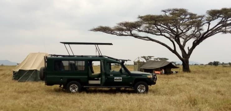 Nature Discovery Vehicle and Campsite