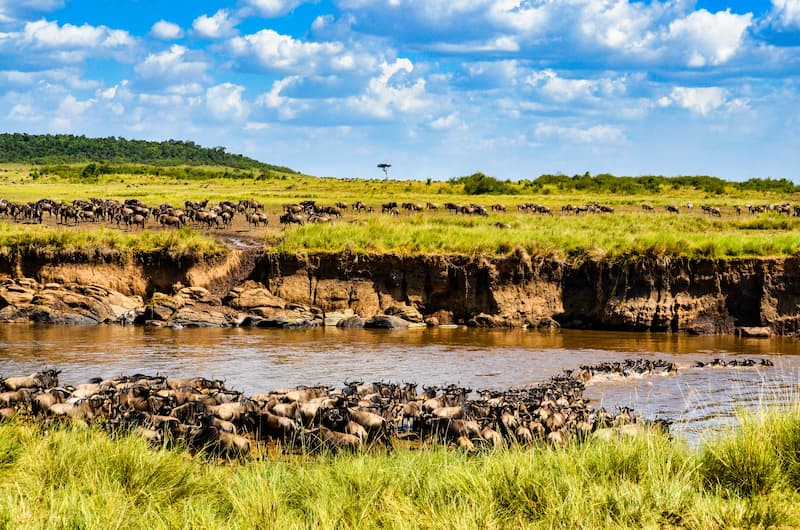 River Crossing