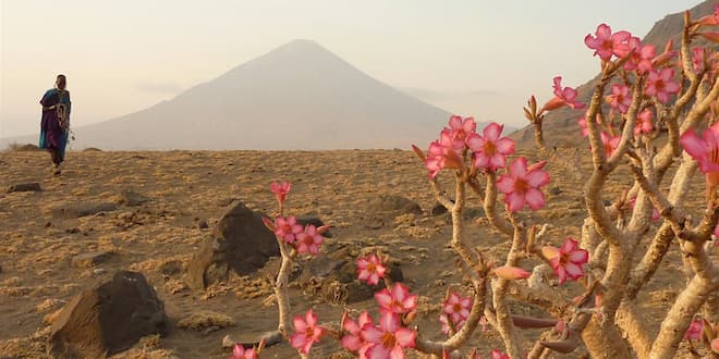 Ngorongoro Highlands