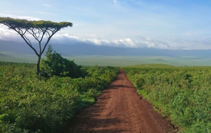 Road through Tanzania