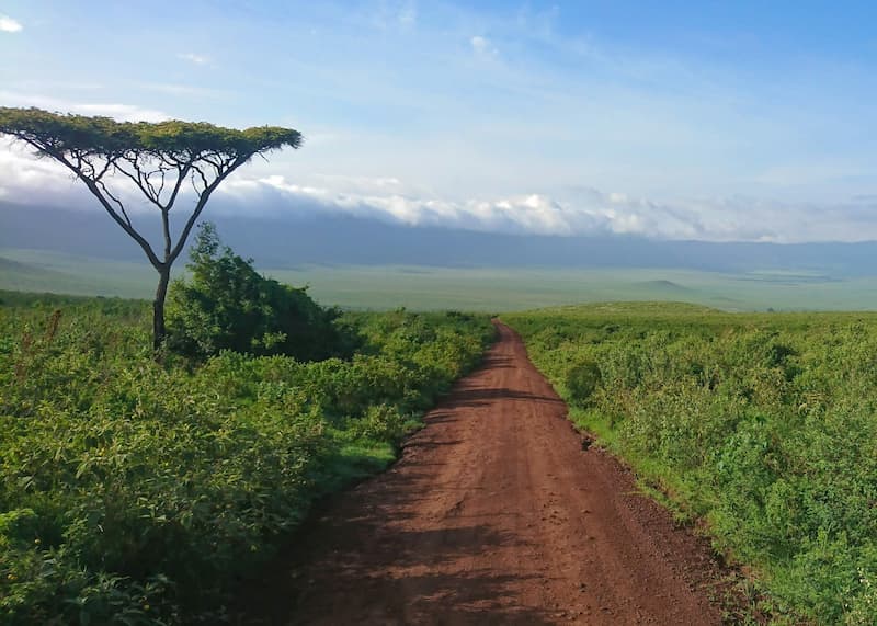 Road through Tanzania
